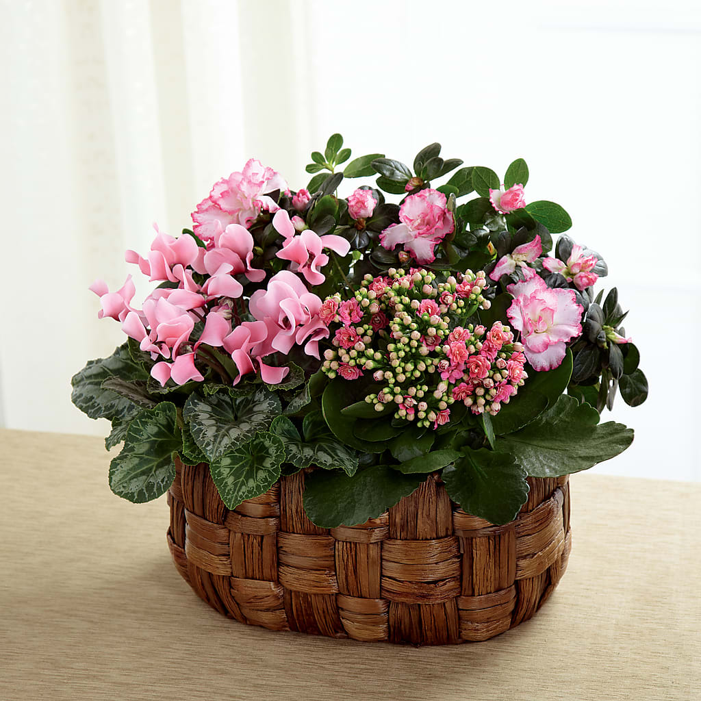 Pink Assortment – SARAH'S FLOWERS, Fullerton CA