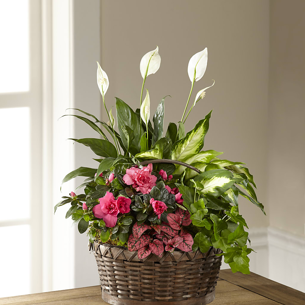 Dream in Pink Dishgarden – SARAH'S FLOWERS, Fullerton CA