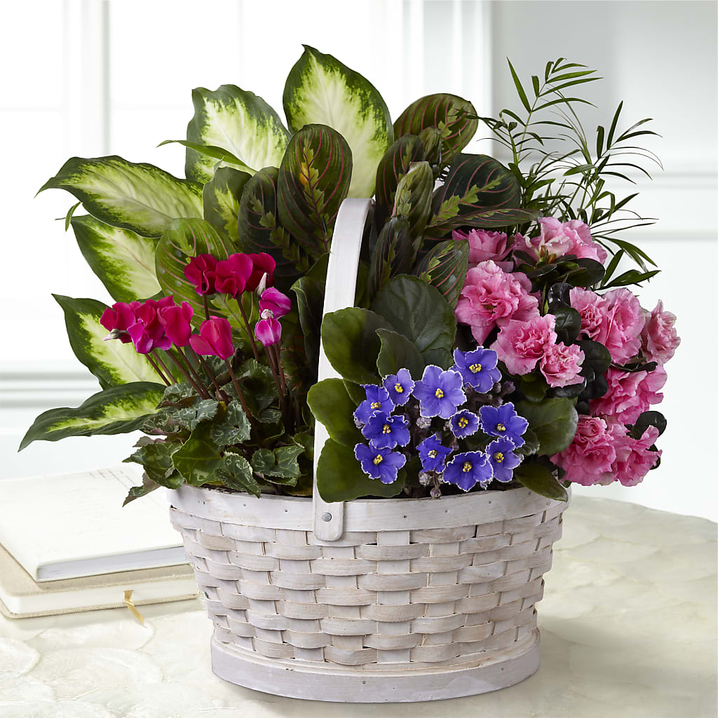 Peaceful Garden Planter – SARAH'S FLOWERS, Fullerton CA