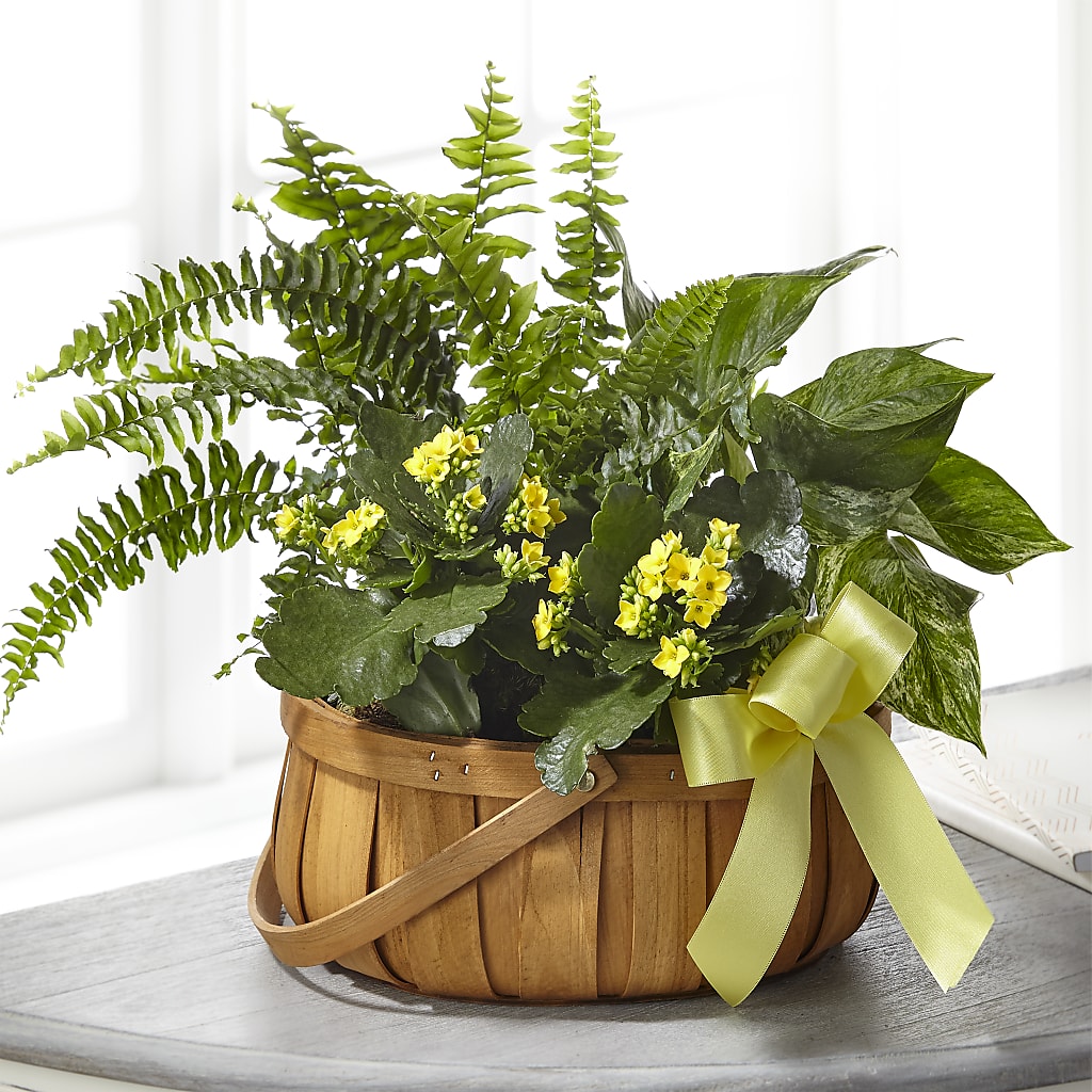 Always Dear Dishgarden – SARAH'S FLOWERS, Fullerton CA