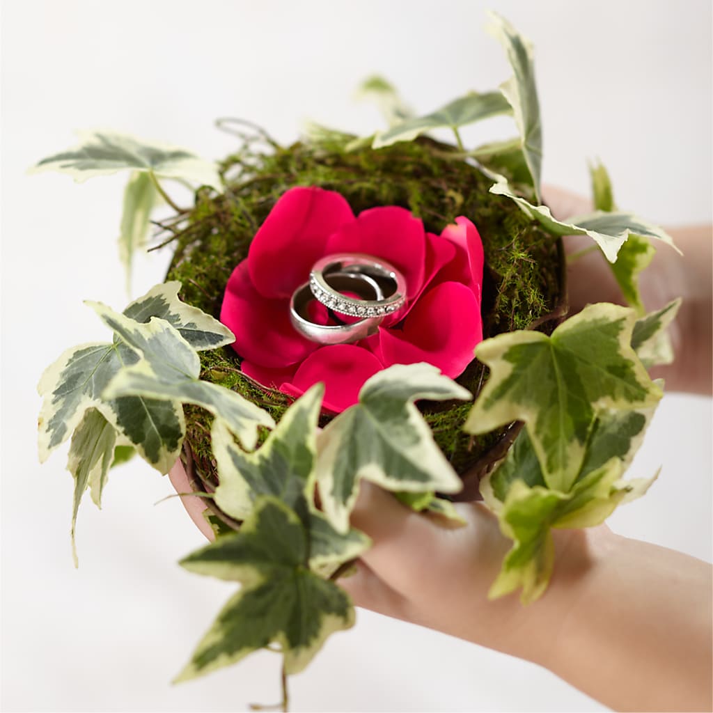 Lila Rose Ring Nest – SARAH'S FLOWERS, Fullerton CA