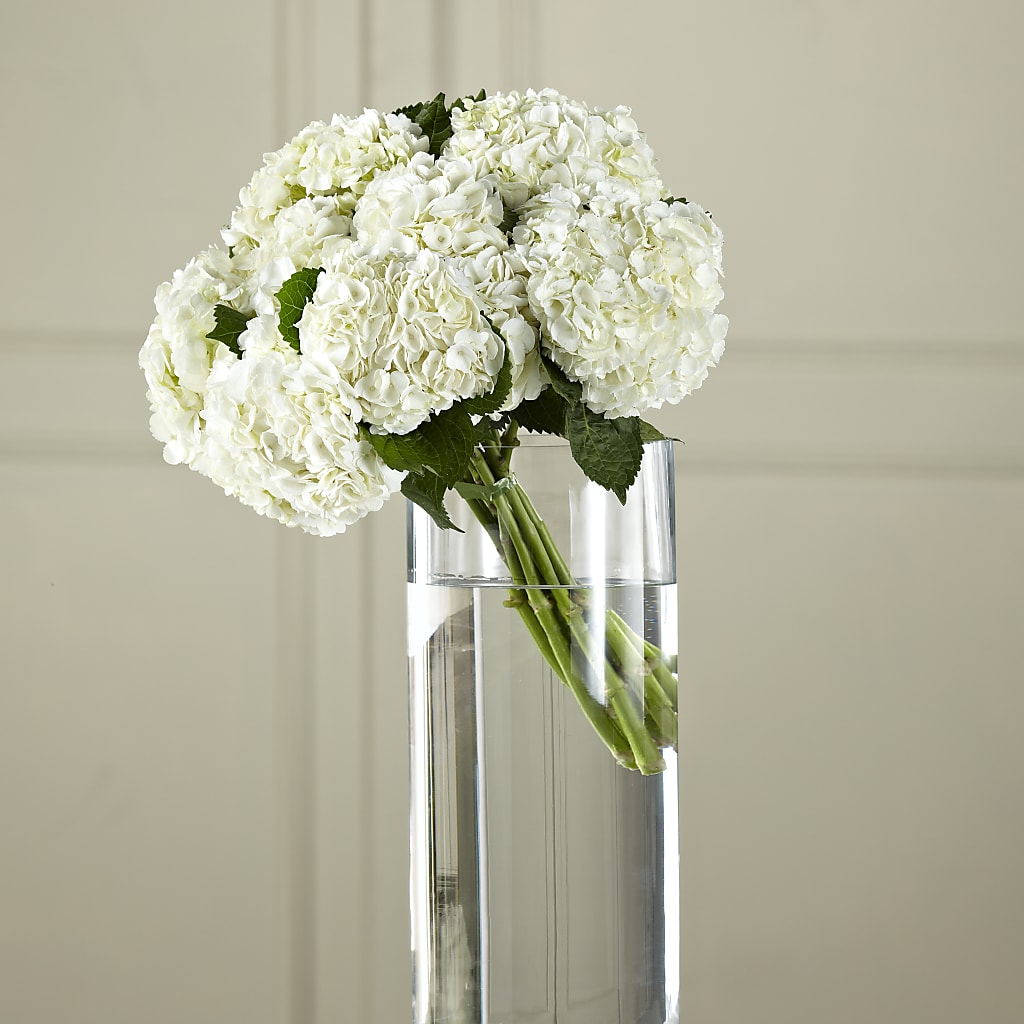 White Hydrangea Hand-Tied Bouquet – SARAH'S FLOWERS, Fullerton CA