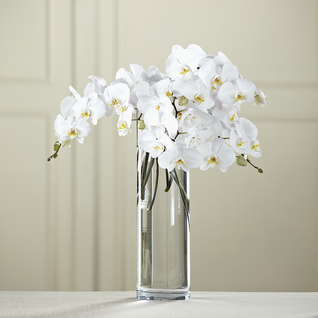 White Phalaenopsis Bouquet – SARAH'S FLOWERS, Fullerton CA