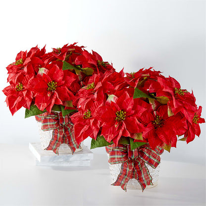 Happiest Holidays Poinsettia Bundle – SARAH'S FLOWERS, Fullerton CA