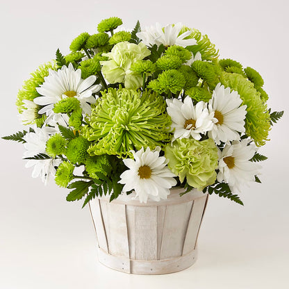 Lucky Charm Basket (Standard) – SARAH'S FLOWERS, Fullerton CA