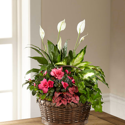 Dream in Pink Dishgarden – SARAH'S FLOWERS, Fullerton CA