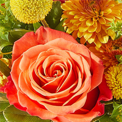 Gourdgeous Pumpkin – SARAH'S FLOWERS, Fullerton CA