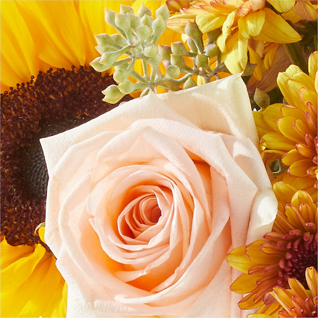 Pumpkin to Talk About Bouquet – SARAH'S FLOWERS, Fullerton CA
