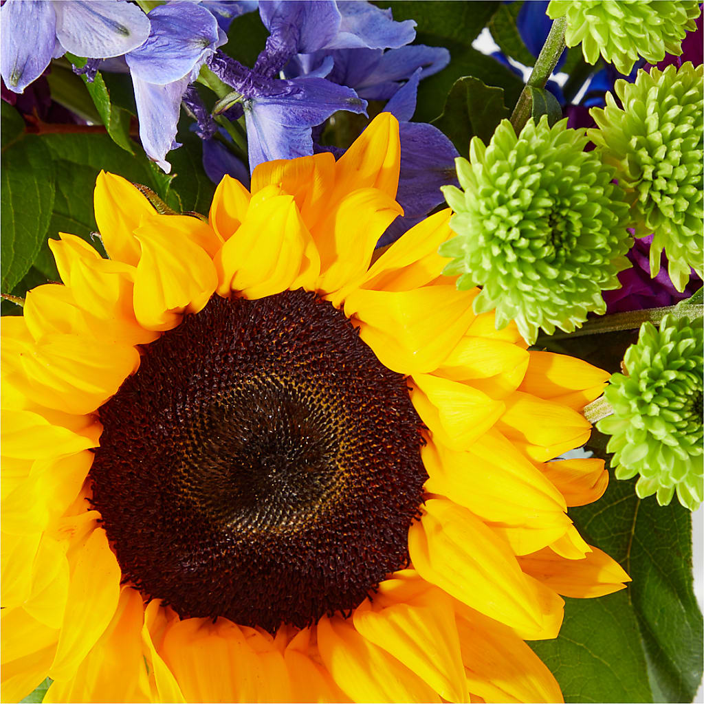 Catching Rays Bouquet – SARAH'S FLOWERS, Fullerton CA