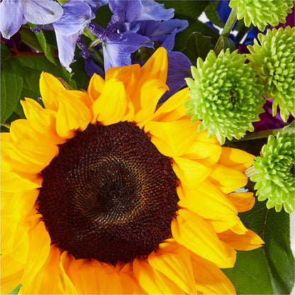 Catching Rays Bouquet – SARAH'S FLOWERS, Fullerton CA