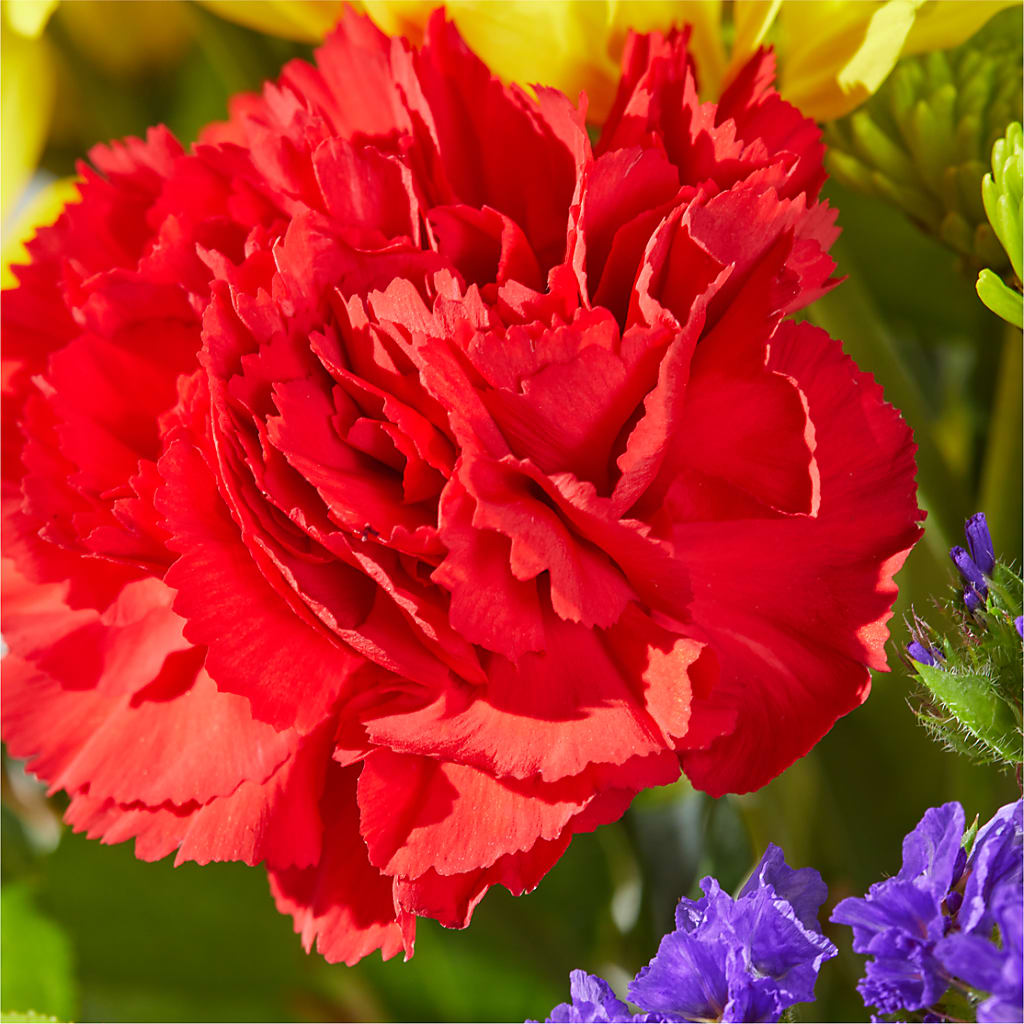 Brighter Days Bouquet – SARAH'S FLOWERS, Fullerton CA