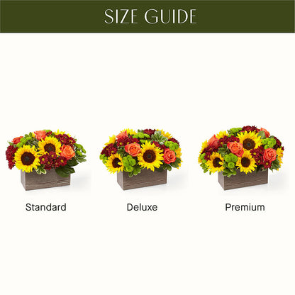 Happy Harvest Garden – SARAH'S FLOWERS, Fullerton CA