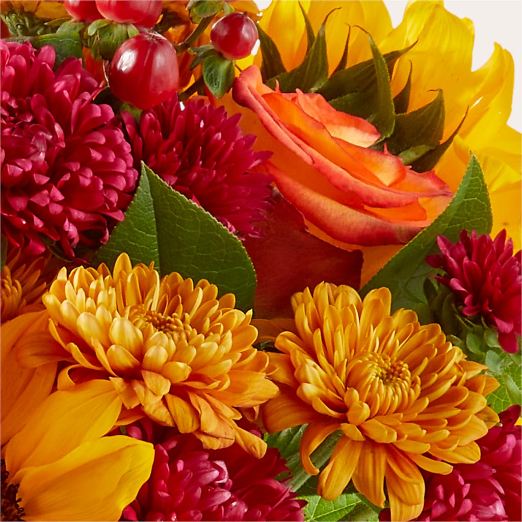 Sweater Season - A Florist Original – SARAH'S FLOWERS, Fullerton CA