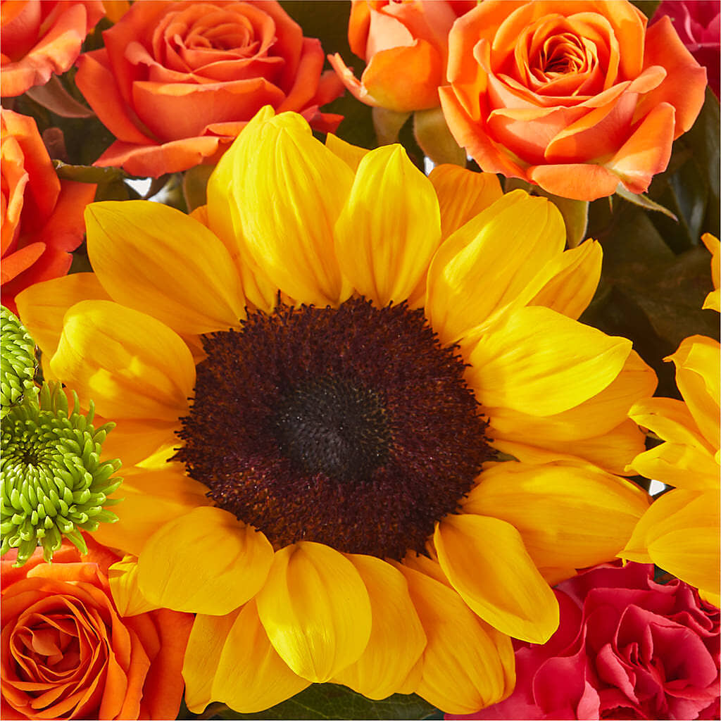 Sun-drenched Blooms Box Bouquet – SARAH'S FLOWERS, Fullerton CA