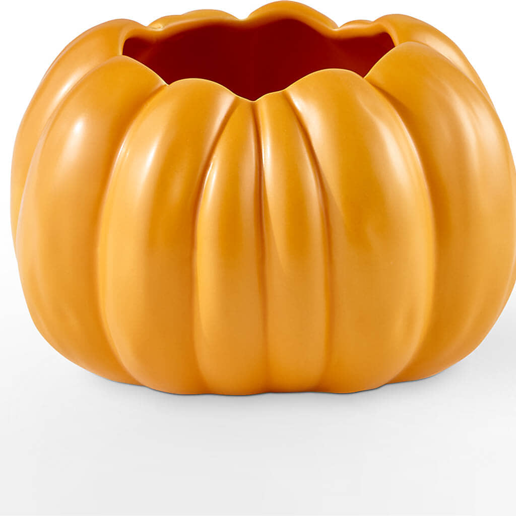 Pick of the Patch Pumpkin Bouquet – SARAH'S FLOWERS, Fullerton CA