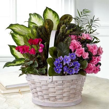 Peaceful Garden Planter – SARAH'S FLOWERS, Fullerton CA
