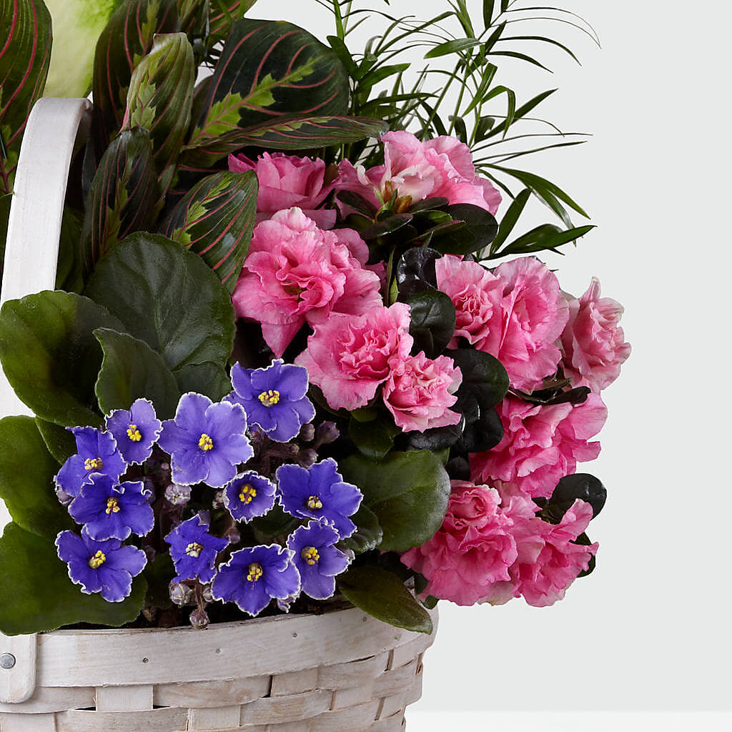 Peaceful Garden Planter – SARAH'S FLOWERS, Fullerton CA