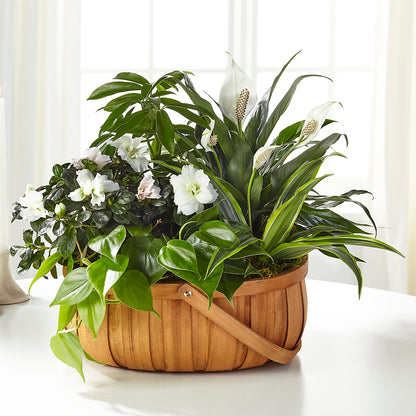 Serene Dishgarden – SARAH'S FLOWERS, Fullerton CA