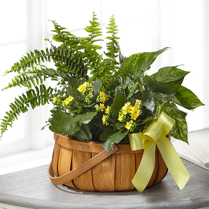 Always Dear Dishgarden – SARAH'S FLOWERS, Fullerton CA