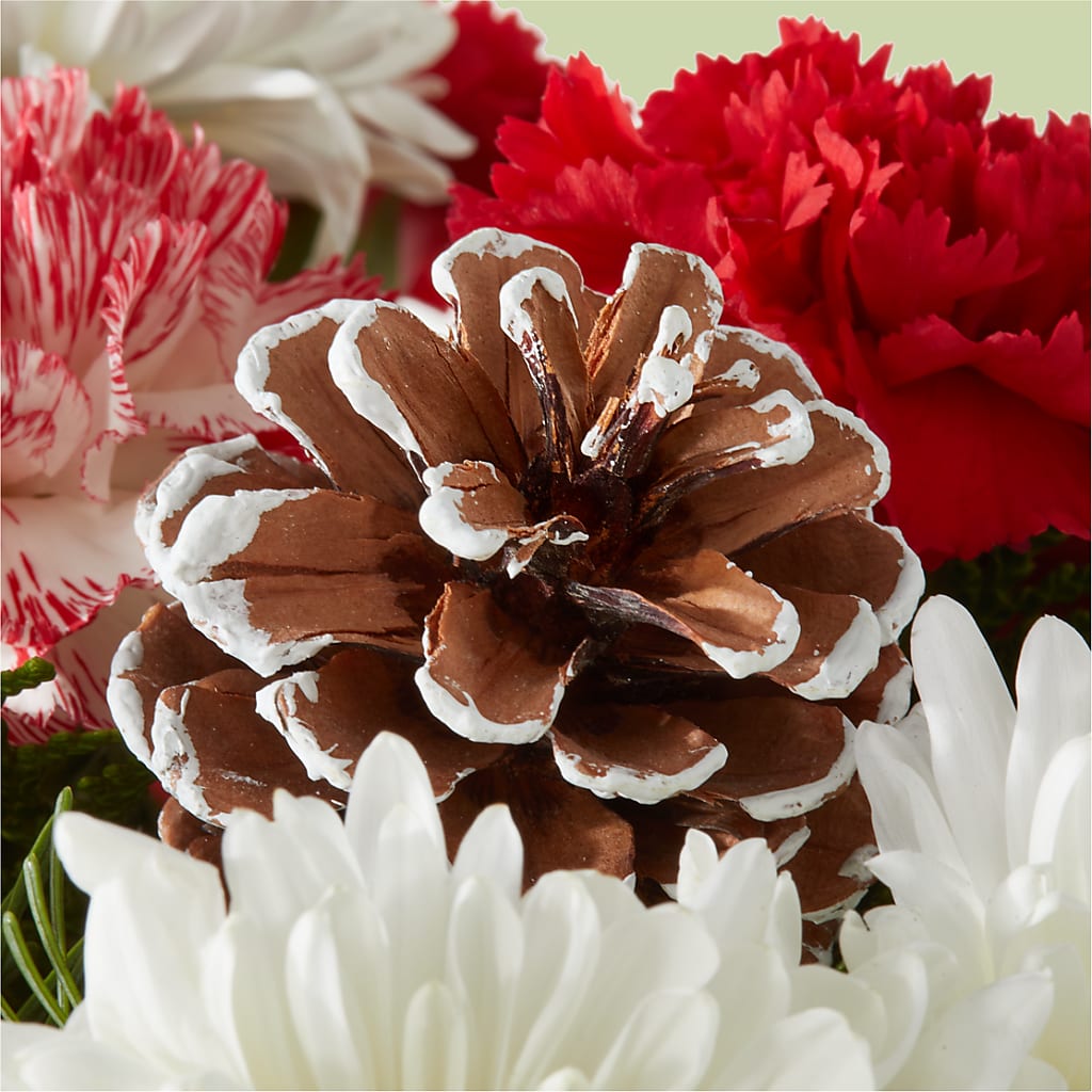 Candy Cane Lane Bouquet – SARAH'S FLOWERS, Fullerton CA