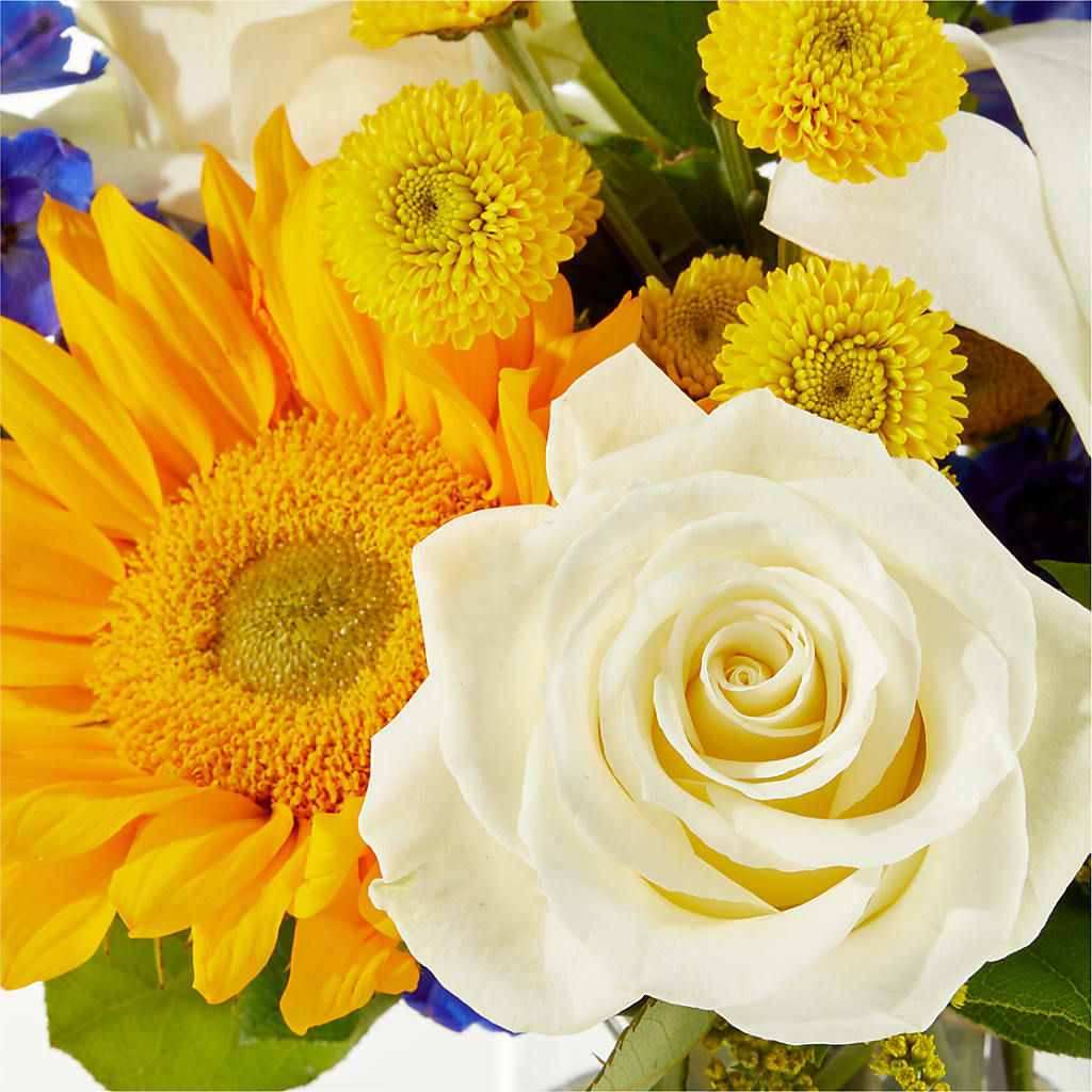 Stargazing Bouquet – SARAH'S FLOWERS, Fullerton CA