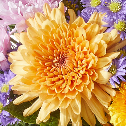 Countryside Bouquet – SARAH'S FLOWERS, Fullerton CA