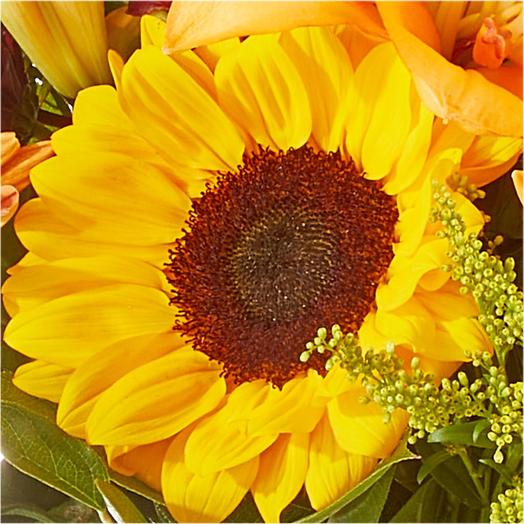 Seasons Change Bouquet – SARAH'S FLOWERS, Fullerton CA