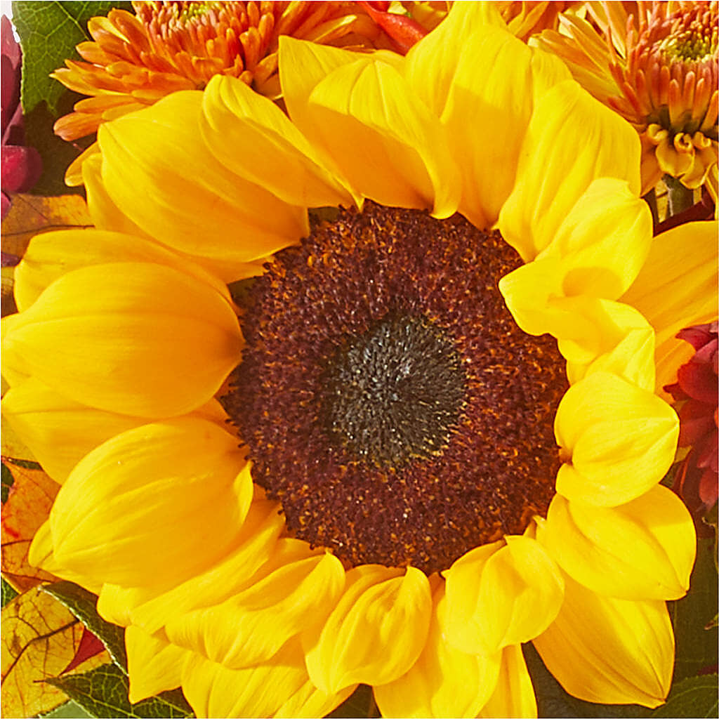 Sunny Side Bouquet – SARAH'S FLOWERS, Fullerton CA