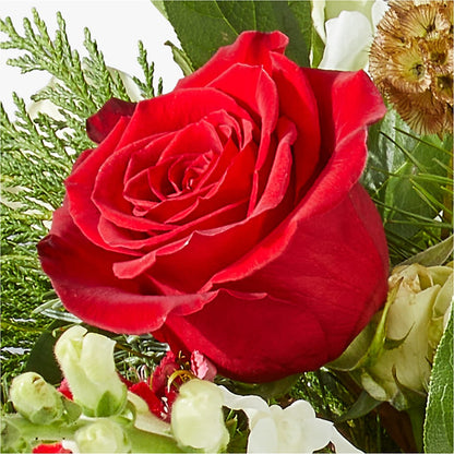 Deck the Halls Bouquet – SARAH'S FLOWERS, Fullerton CA