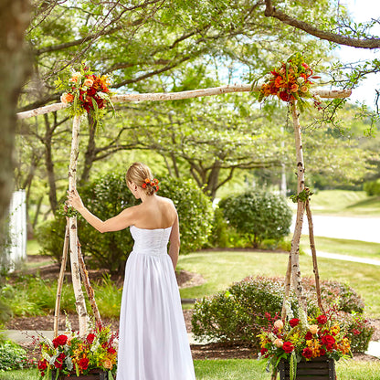 Arbor of Love Archway – SARAH'S FLOWERS, Fullerton CA