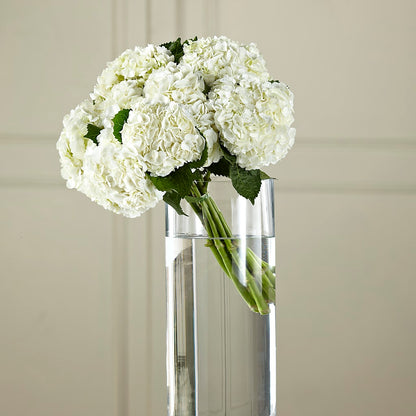 White Hydrangea Hand-Tied Bouquet – SARAH'S FLOWERS, Fullerton CA